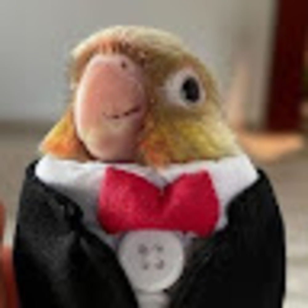 Meet your Posher, Adam